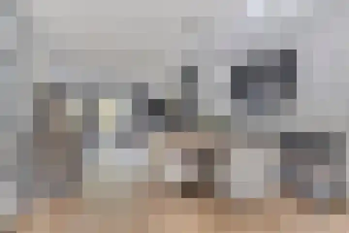 Vooronder 29 Almere thumbnail 17