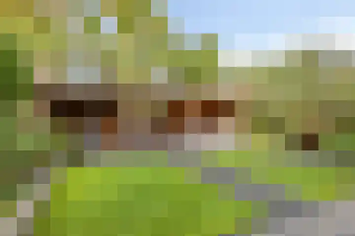 Vooronder 29 Almere thumbnail 34