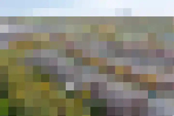 Vooronder 29 Almere thumbnail 36