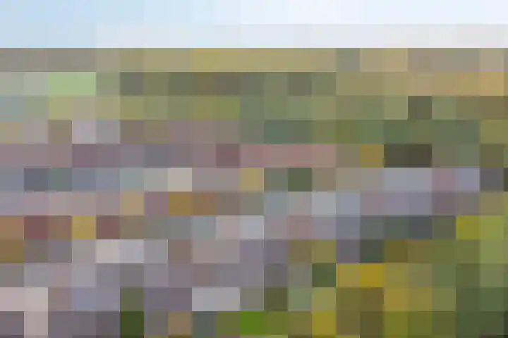 Vooronder 29 Almere thumbnail 37