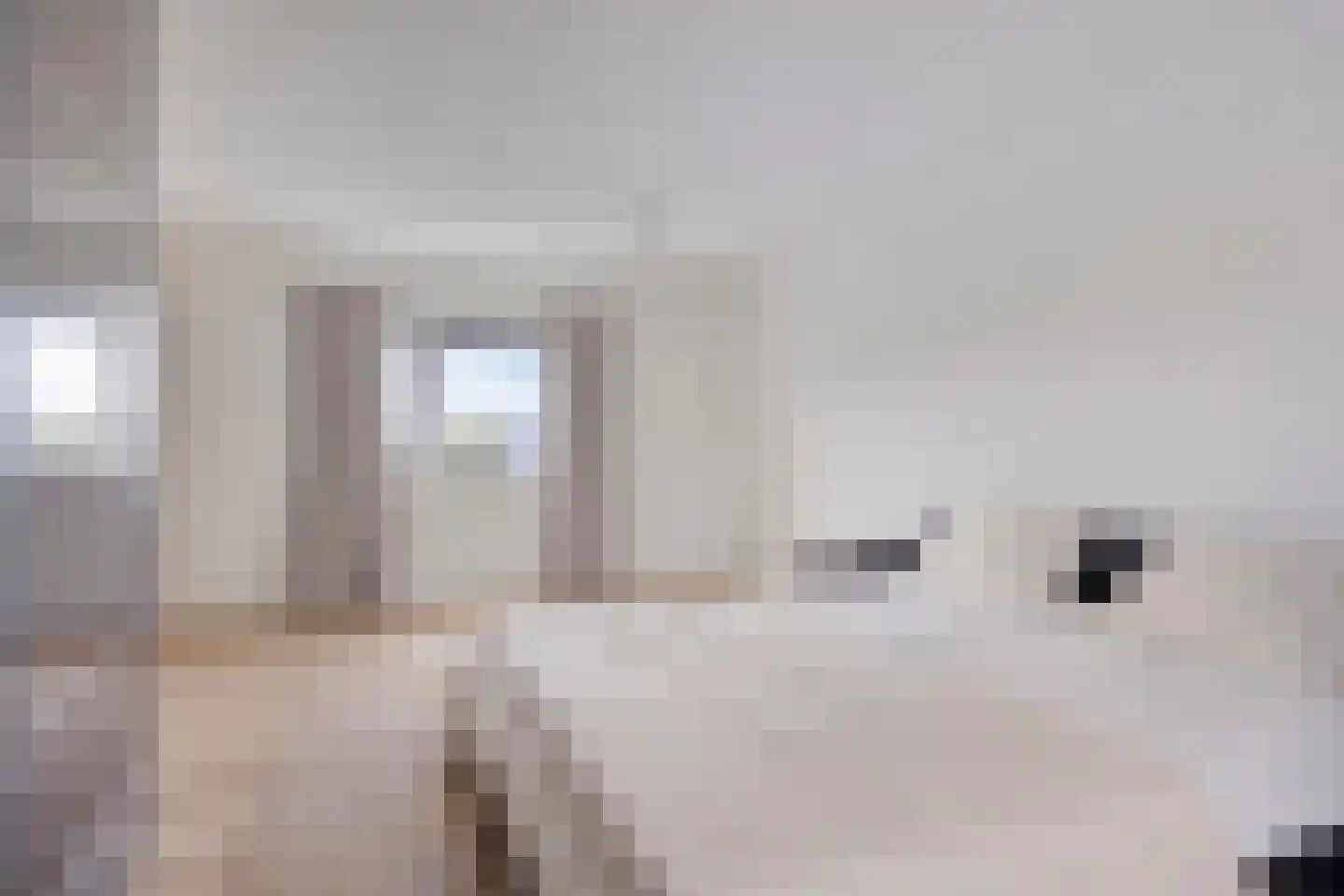 Vooronder 76 Almere thumbnail 4