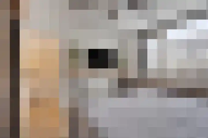 Voorplecht 29 Dronten thumbnail 18