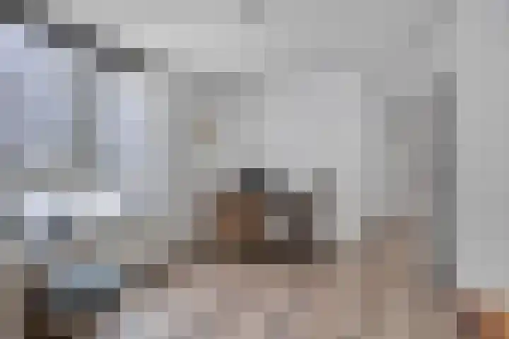 Voorplecht 29 Dronten thumbnail 23