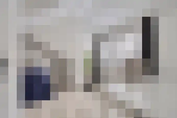 Voorplecht 29 Dronten thumbnail 30
