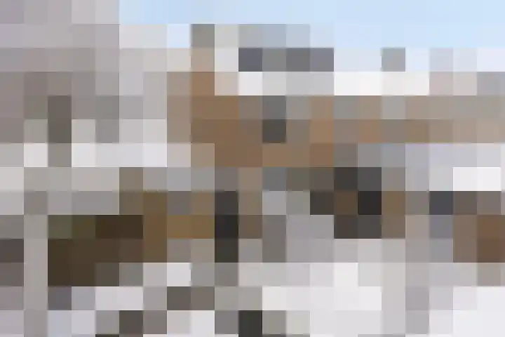 Voorplecht 29 Dronten thumbnail 42