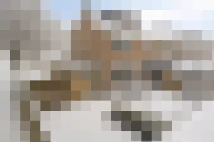Voorplecht 29 Dronten thumbnail 46