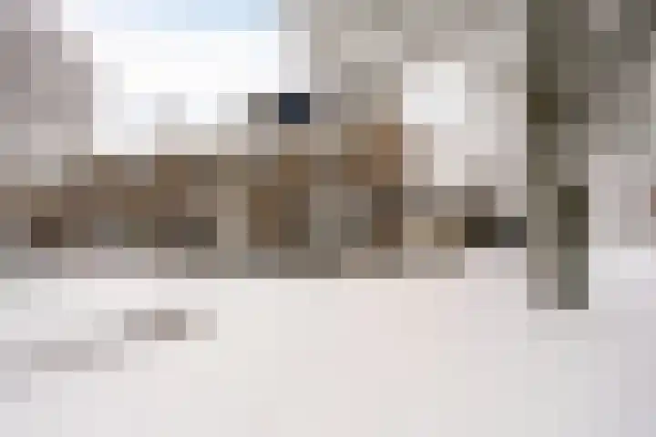 Voorplecht 29 Dronten thumbnail 49