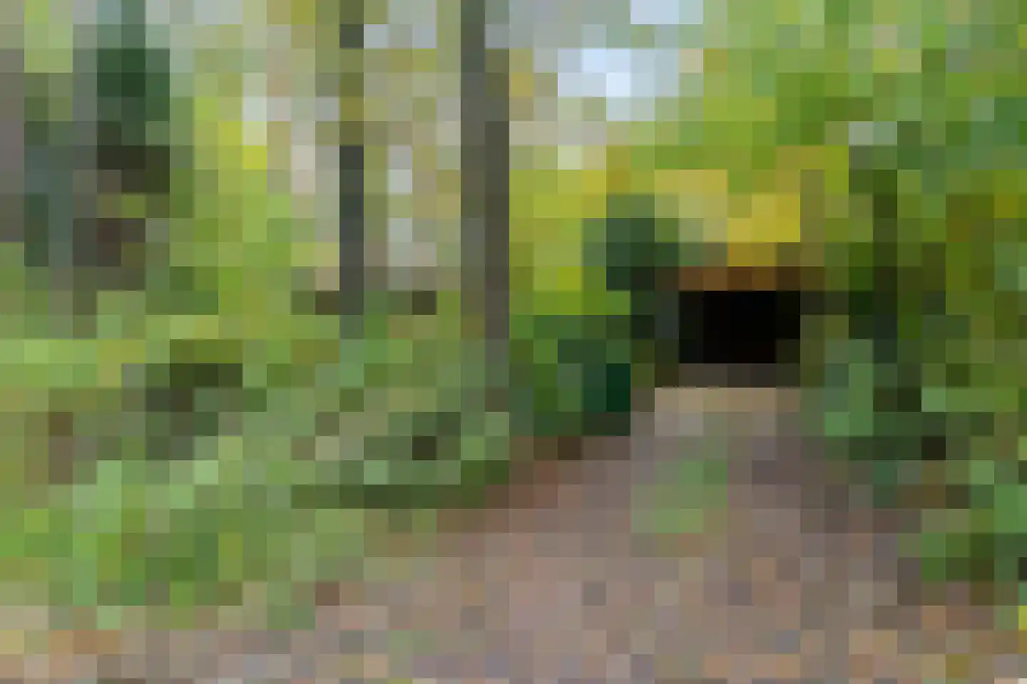 Voorsteweg 19 Norg