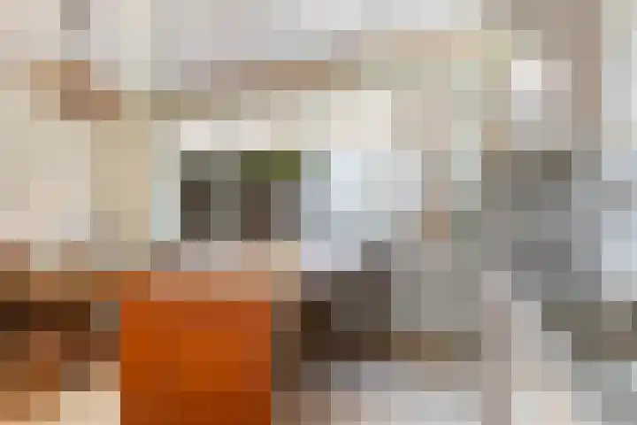 Voorstraat 2 Blije thumbnail 11