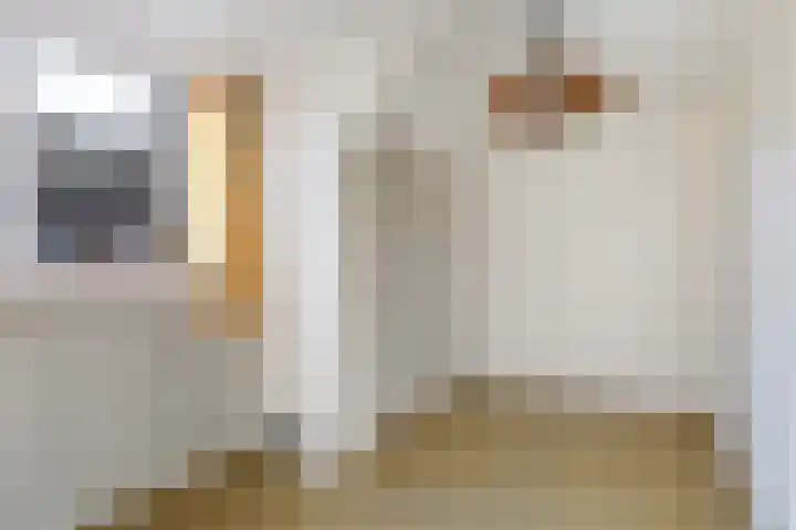 Voorstraat 2 Blije thumbnail 24