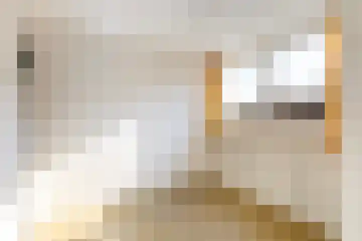 Voorstraat 2 Blije thumbnail 26