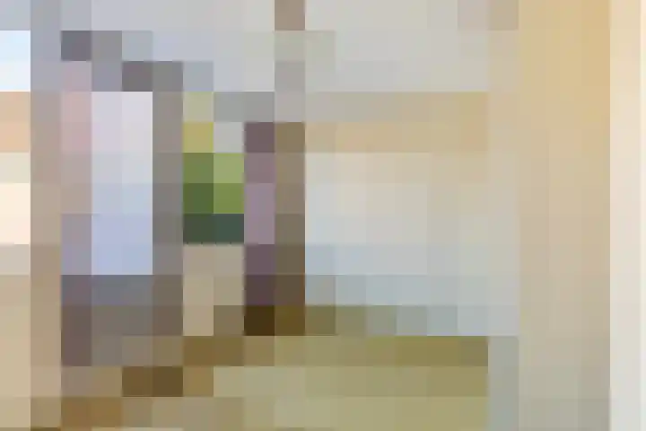 Voorstraat 2 Blije thumbnail 27