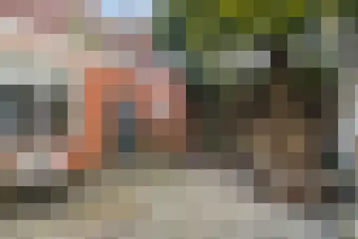 Voorstraat 2 Blije thumbnail 37