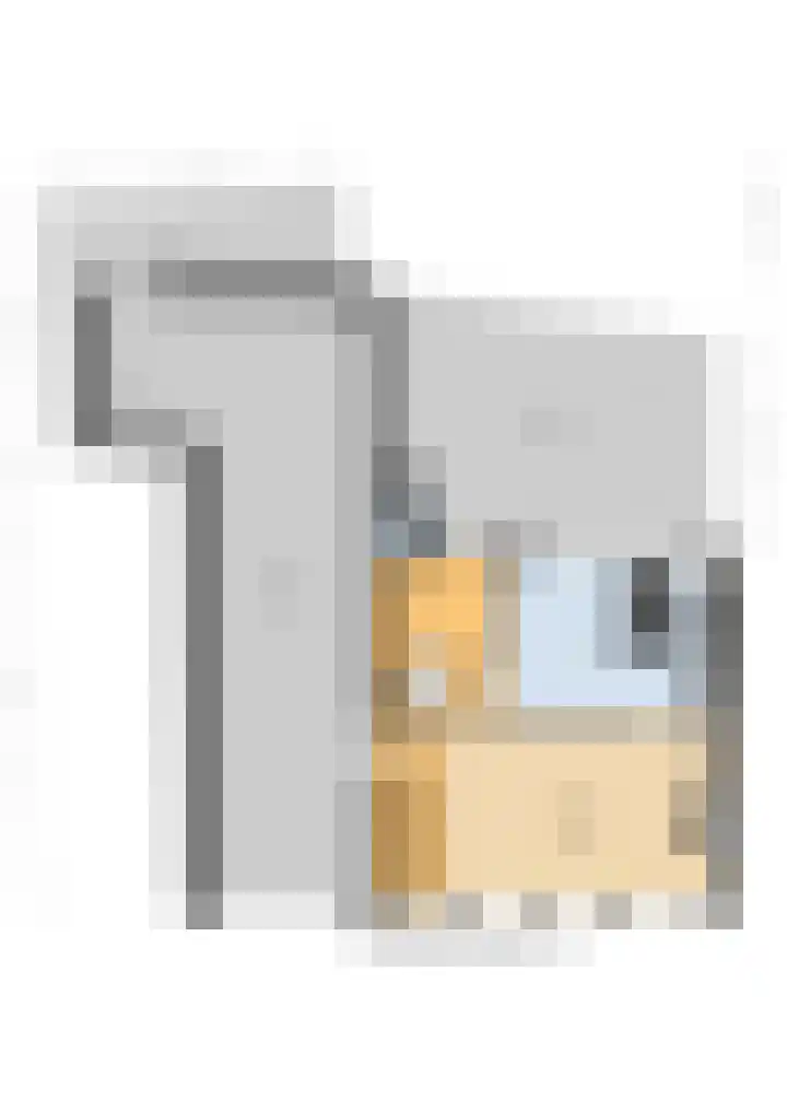 Voorstraat 2 Blije thumbnail 57
