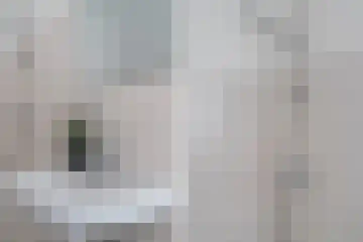 Voorstraat 36 Leiden thumbnail 6