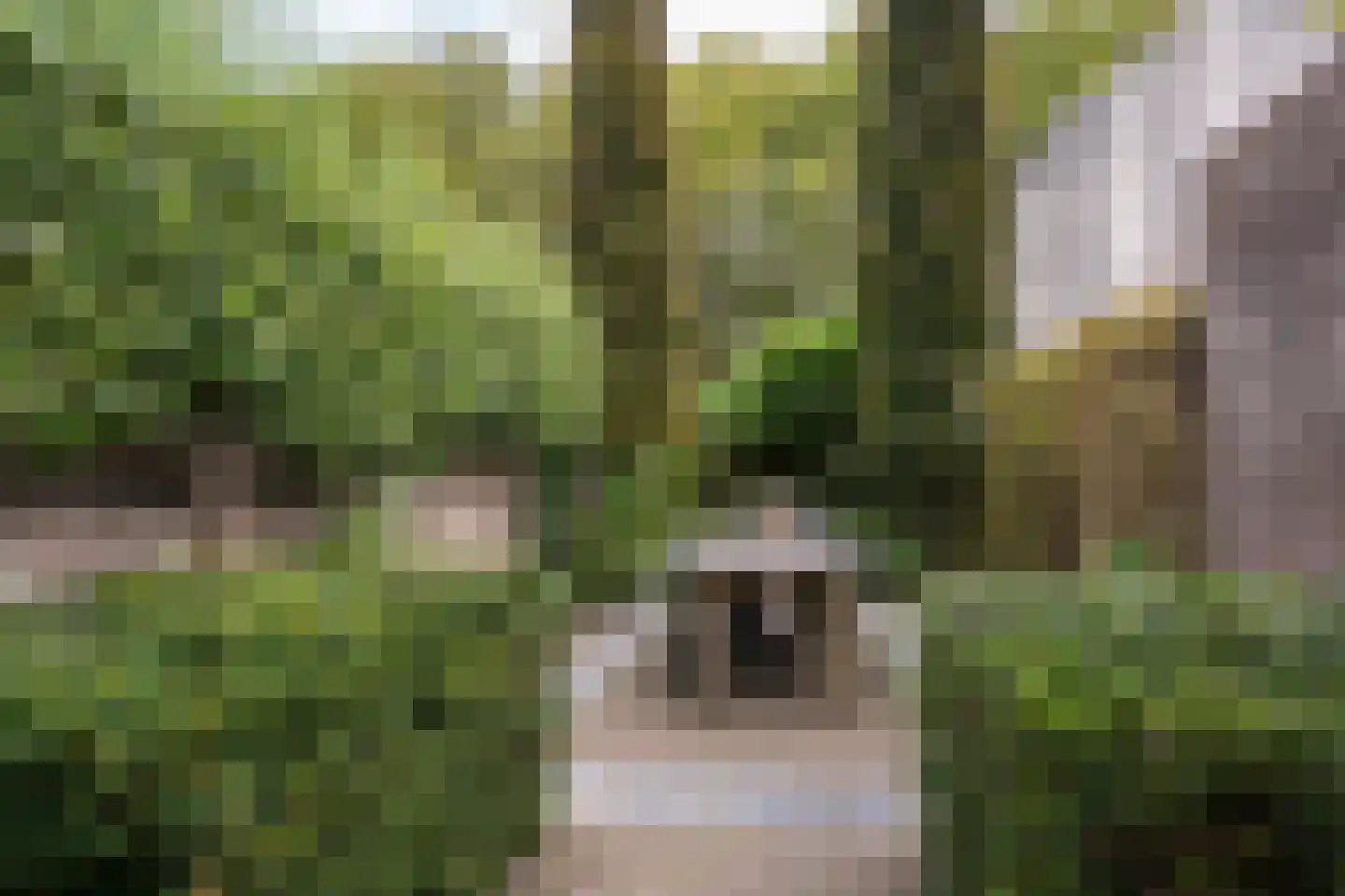 Voorstraat 4 Dirksland thumbnail 22