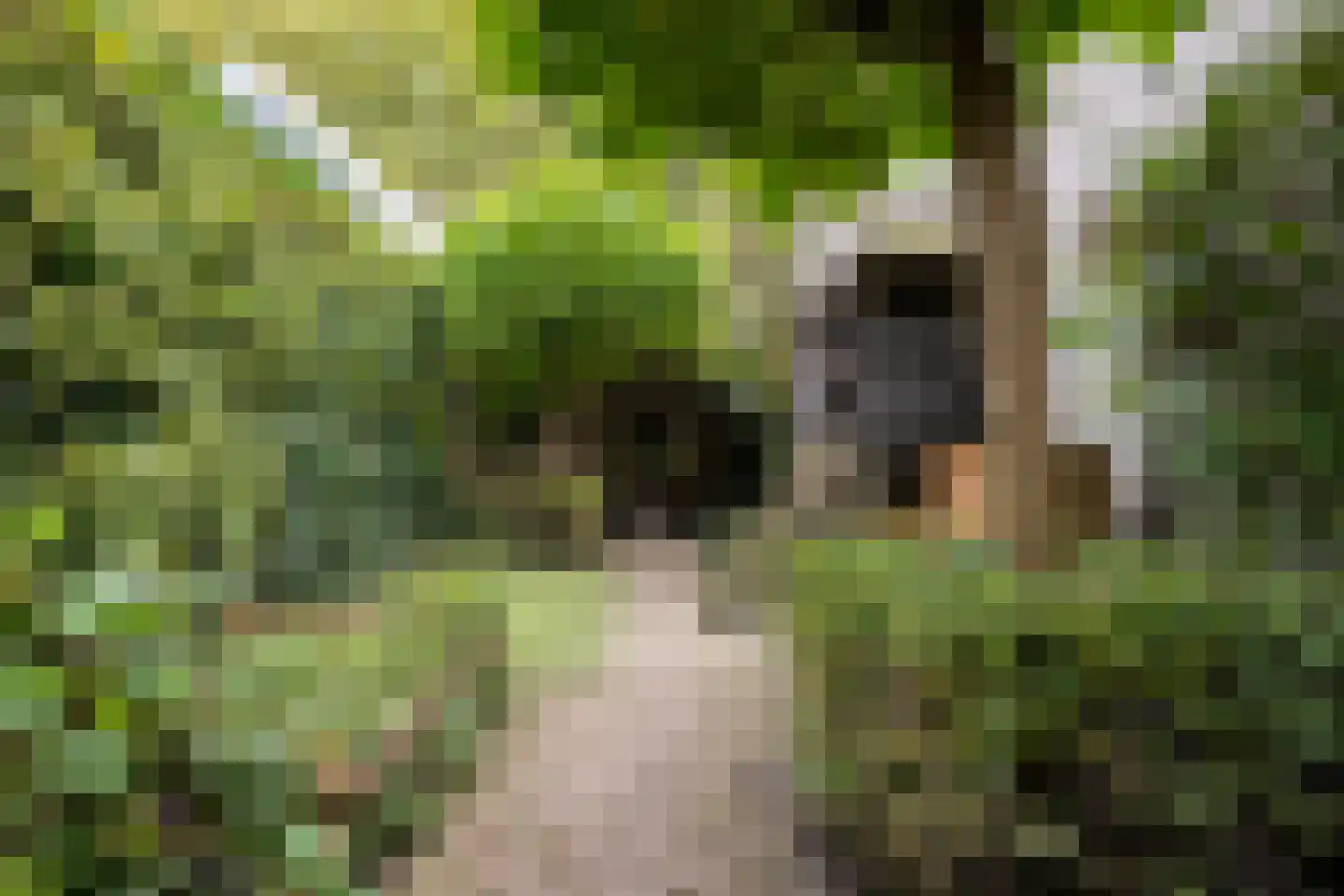 Voorstraat 4 Dirksland thumbnail 25