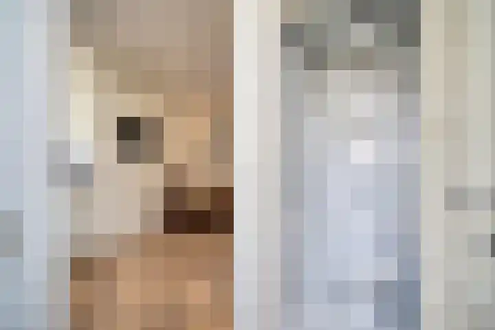 Voorstraat 44 Leiden thumbnail 8