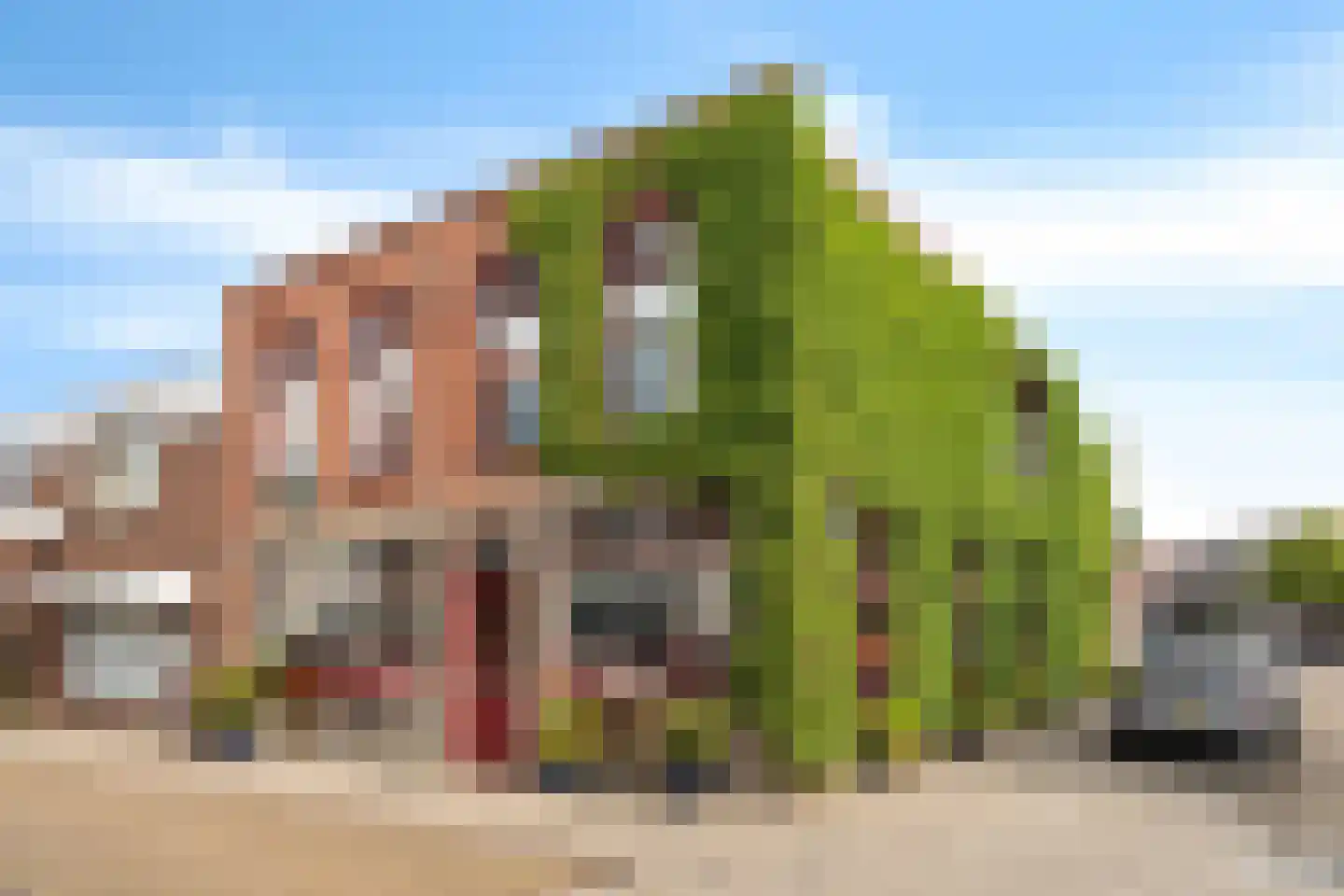 Voorstraat 44 Poeldijk thumbnail 8