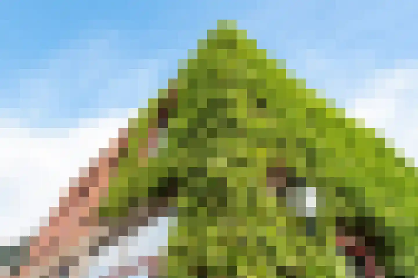 Voorstraat 44 Poeldijk thumbnail 9