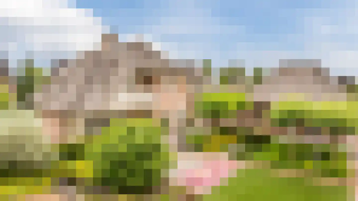 Voorstraat 45 Lienden thumbnail 30