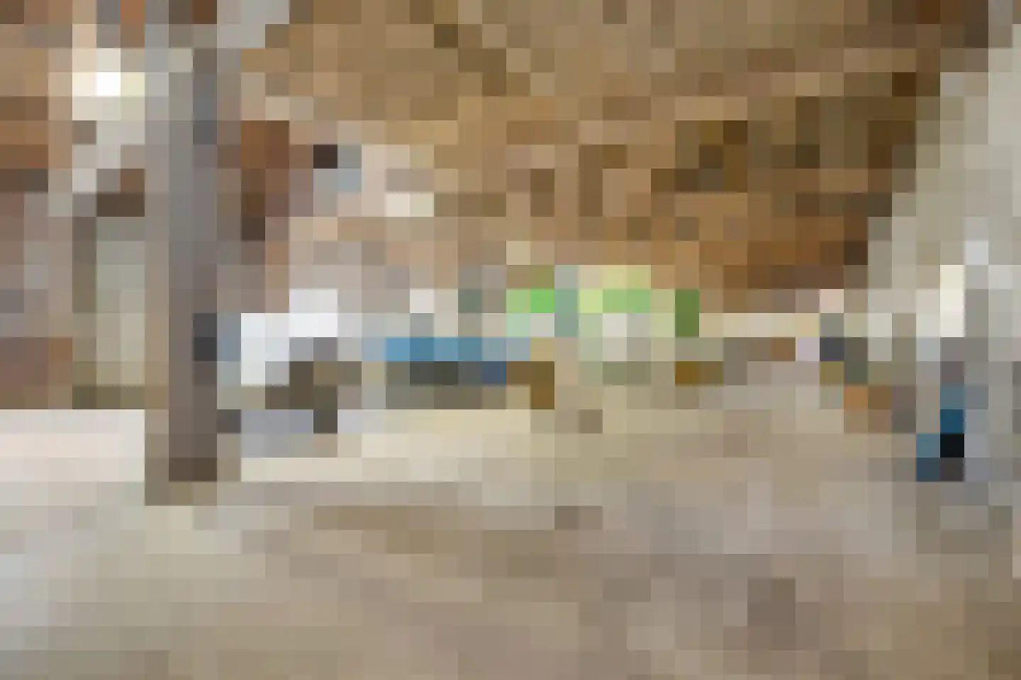 Voorstraat 56 Stellendam thumbnail 31