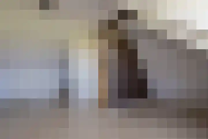 Voorstraat 61 Groot-Ammers thumbnail 21