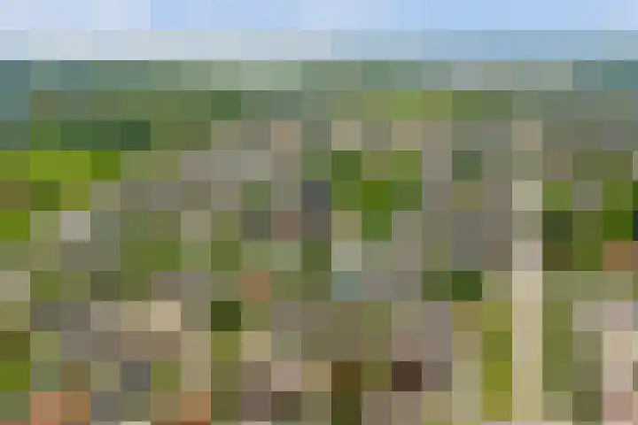 Voorstraat 73 Velddriel thumbnail 4