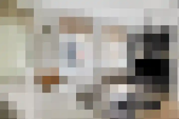 Voorstraat 93 Kampen thumbnail 8