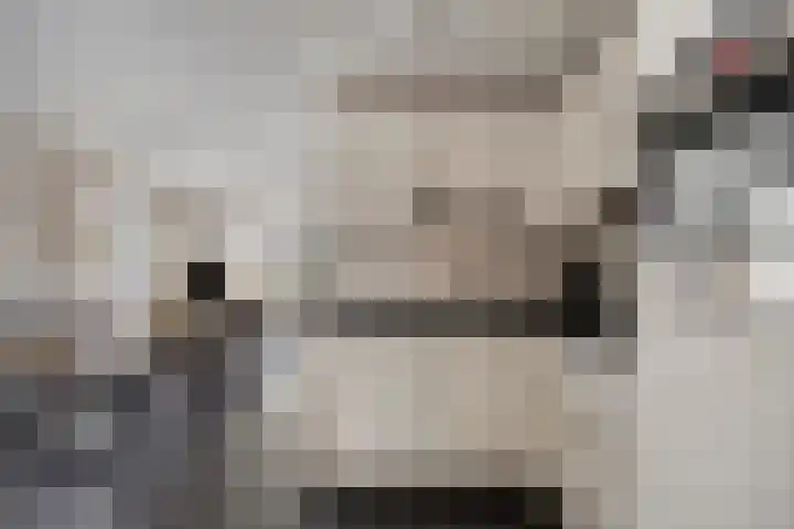 Voorstveld 3 Boekel thumbnail 11