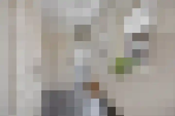Voorstveld 3 Boekel thumbnail 15