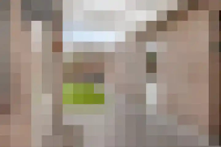 Voorstveld 3 Boekel thumbnail 32