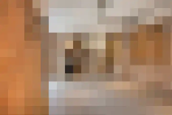 Voorstveld 3 Boekel thumbnail 40