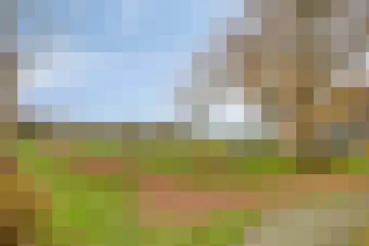 Voorstveld 3 Boekel thumbnail 43