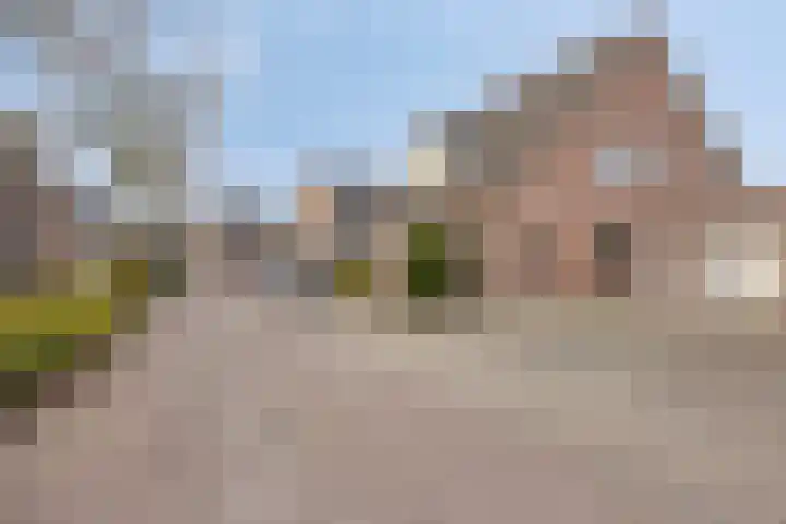 Voorstveld 3 Boekel thumbnail 47