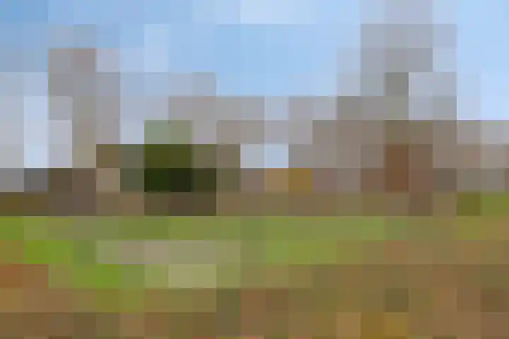 Voorstveld 3 Boekel thumbnail 48