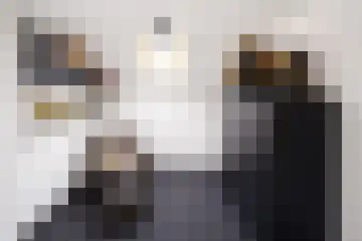 Voort 18 Gemert thumbnail 42