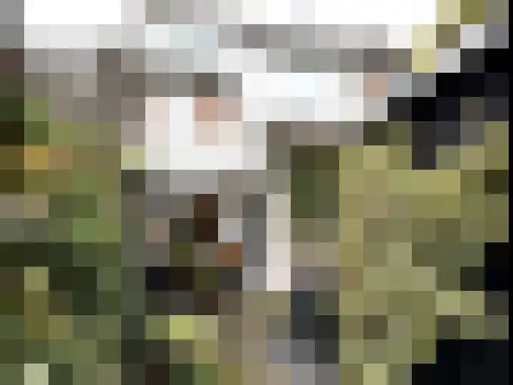 Voort 18 Gemert thumbnail 47