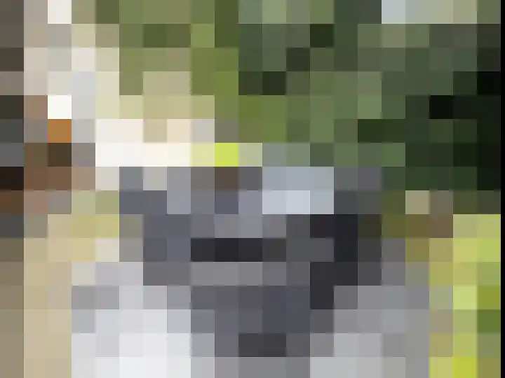 Voort 18 Gemert thumbnail 48