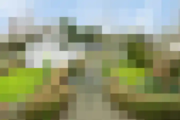 Voort 2 Lomm
