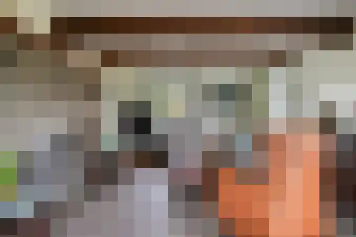 Voort 2 Lomm thumbnail 11