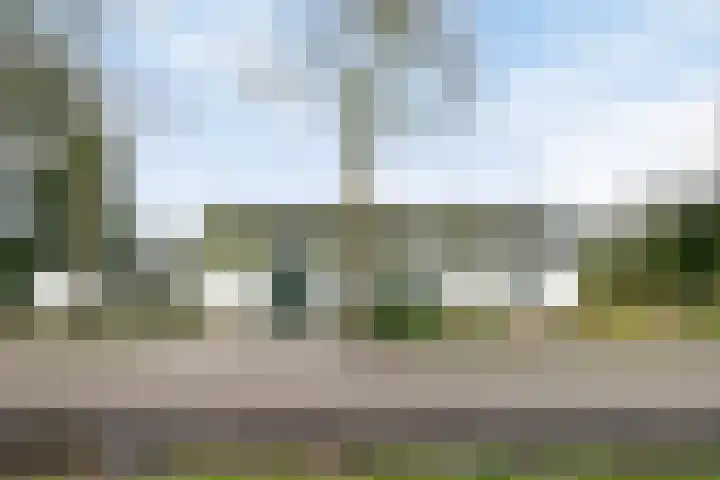 Voort 2 Lomm foto 2