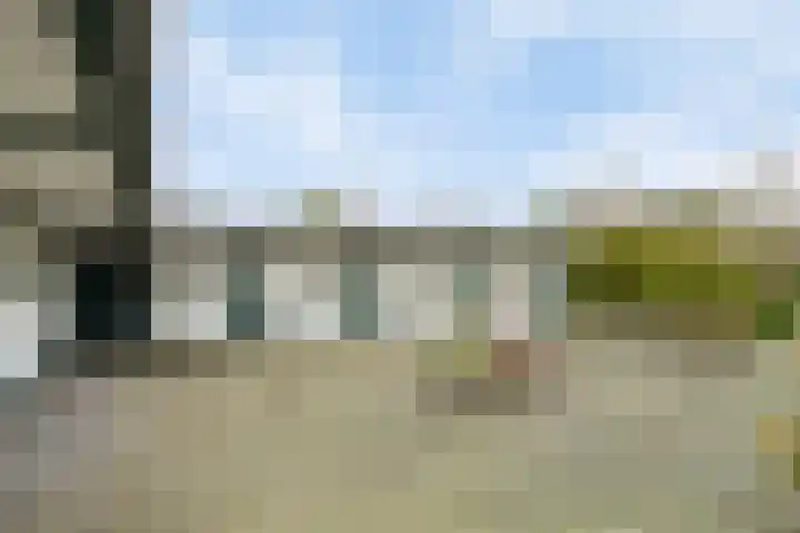 Voort 2 Lomm thumbnail 26