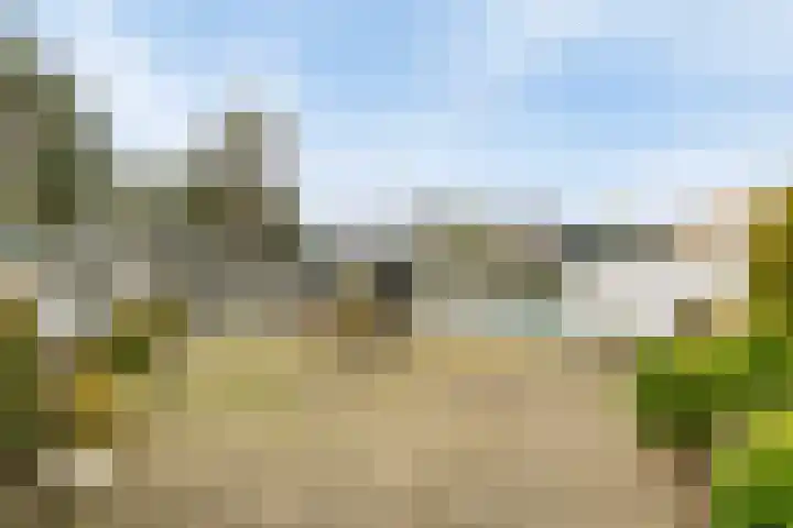 Voort 2 Lomm foto 3