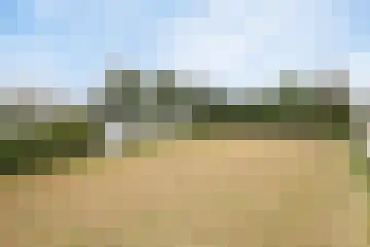 Voort 2 Lomm thumbnail 4