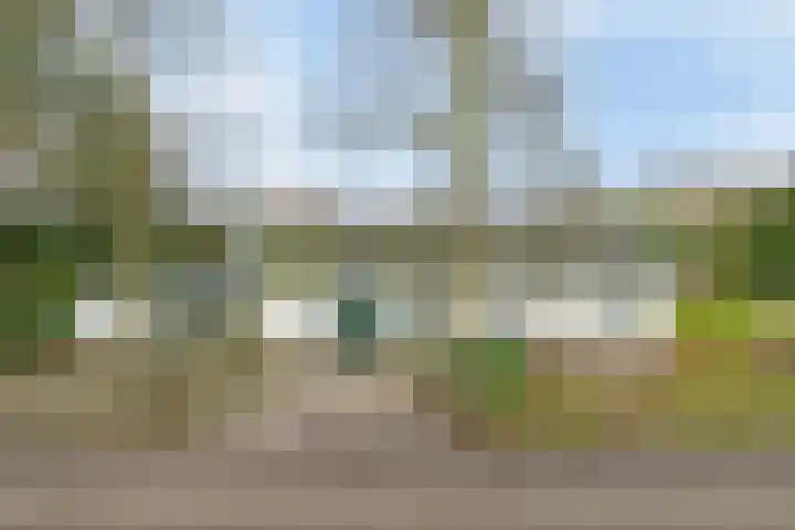 Voort 2 Lomm thumbnail 6