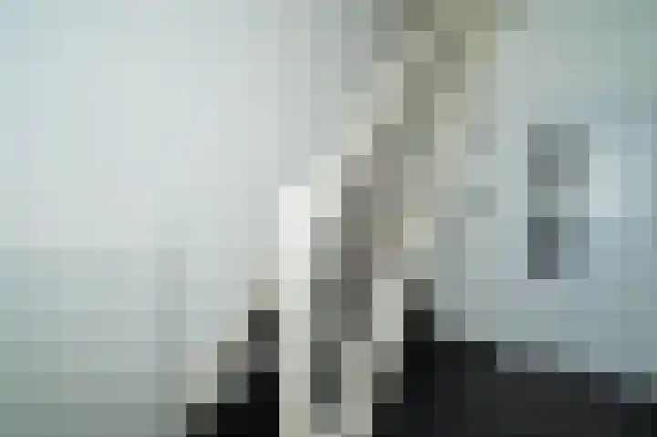 Voortseweg 8 Deurne thumbnail 30