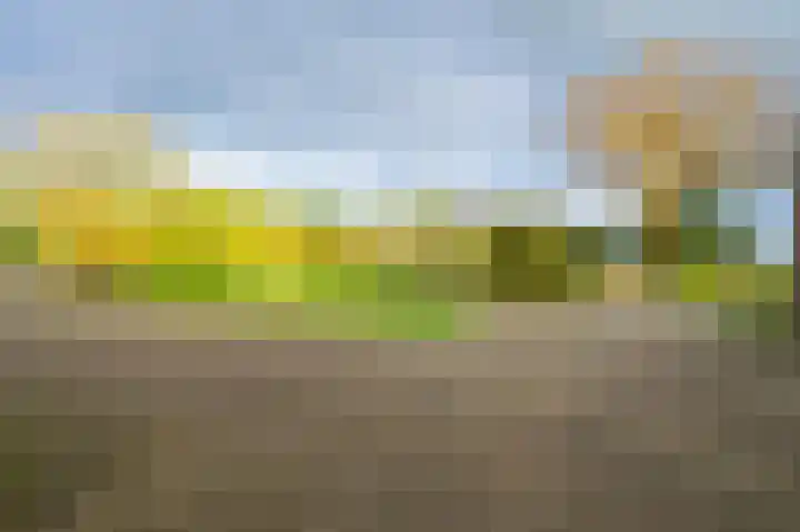 Voortseweg 8 Deurne thumbnail 4
