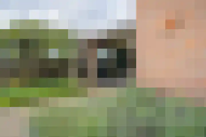 Voortseweg 8 Deurne thumbnail 44