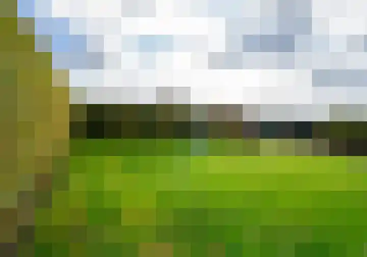 Voortseweg 8 Deurne thumbnail 6